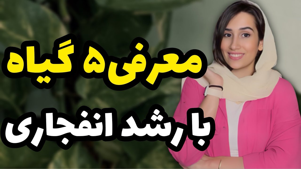 معرفی ۵ گیاه آپارتمانی و بیرونی با رشد انفجاری😍