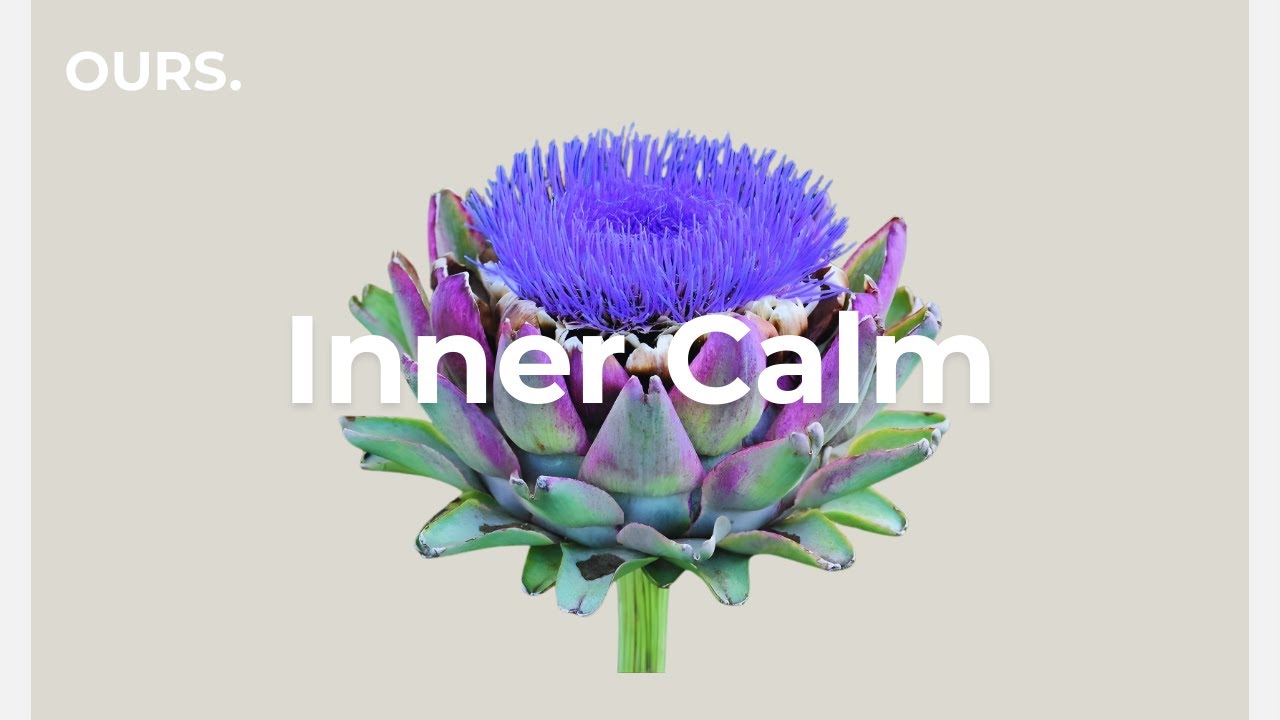Chillout House Mix | Cool Minimal Grooves for Sustained Focus & Stillness