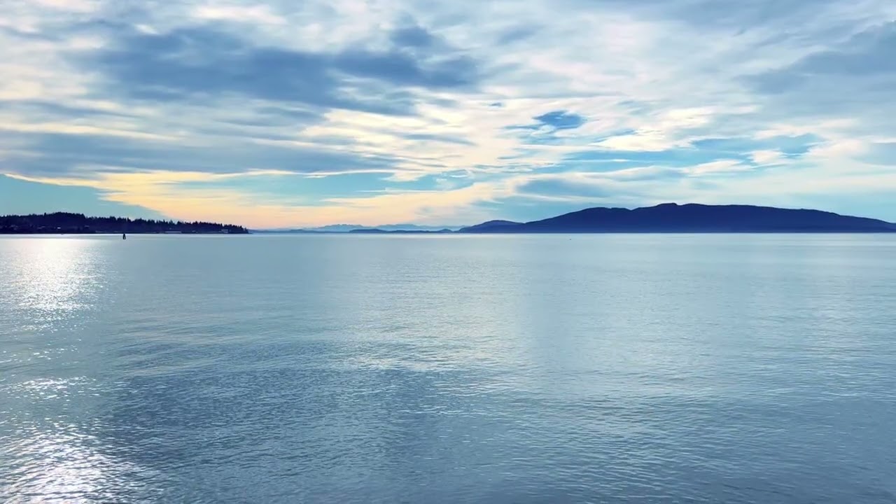 Ethereal Music & Peaceful Harbor Views  1.5 Hour Relaxing Background for Study, Sleep, Focus, Relax