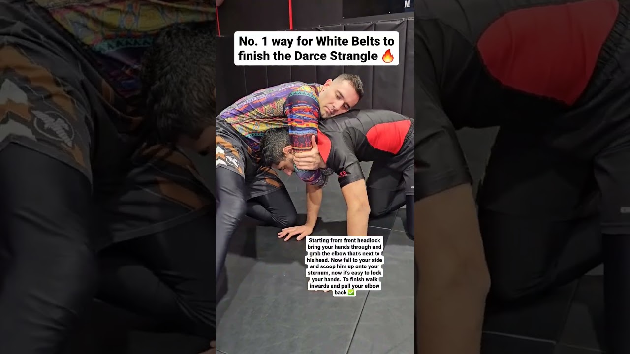 The Best Darce Choke Setup and Finish 👌 #gordonryan #bjj #brazilianjiujitsu #bjjinstructional #choke
