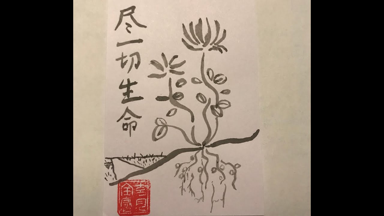 Symbiosis and the Life of All Beings: Shohaku Okumura on Opening the Hand of Thought (#229)