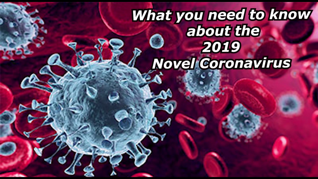 What You Need To Know About the 2019 Novel Coronavirus
