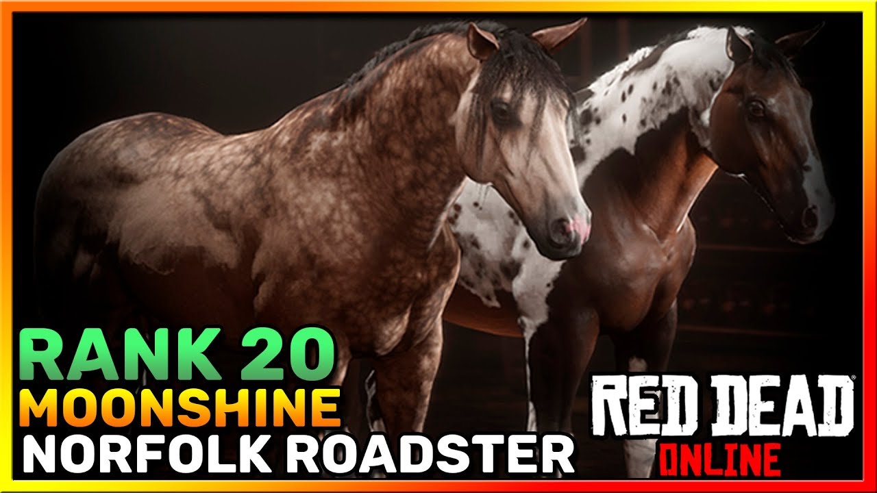 Purchasing and Impressions Red Dead Online Rank 20 Moonshiner Norfolk Roadster