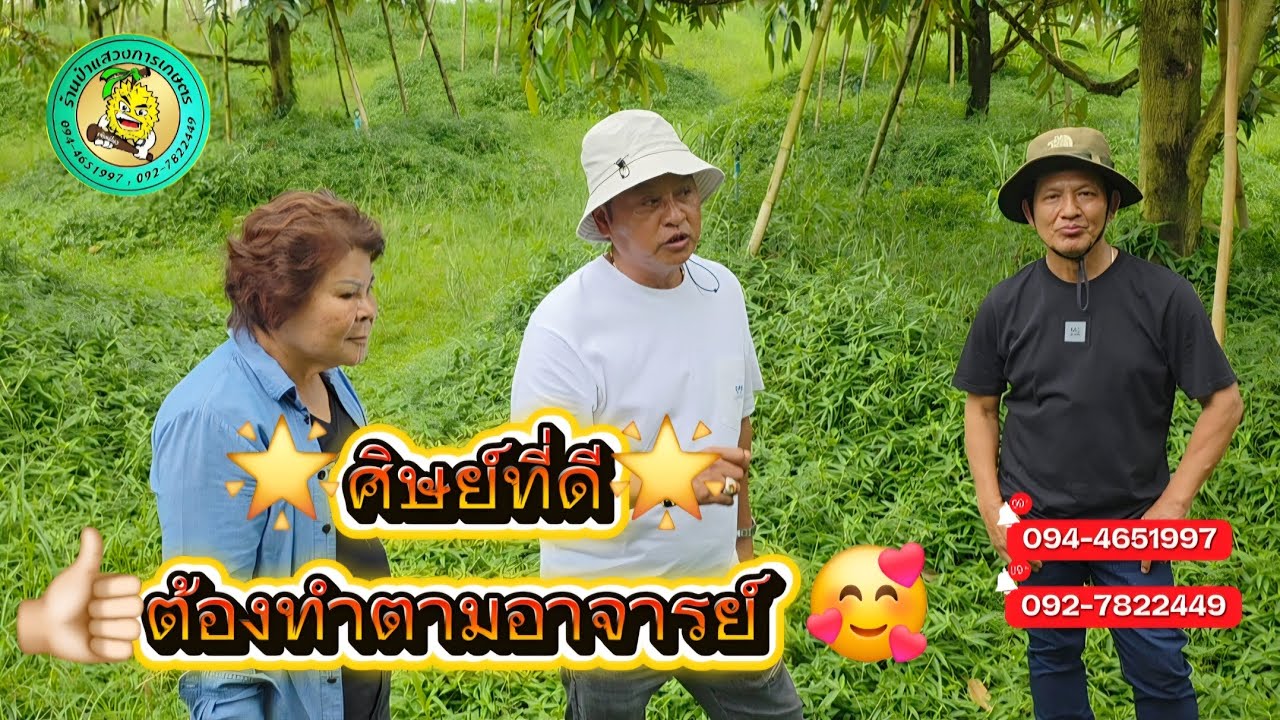 EP 567 l 📌ทำสารแล้ว ‼️ต้องสะสมอาหาร👍🏻🌟