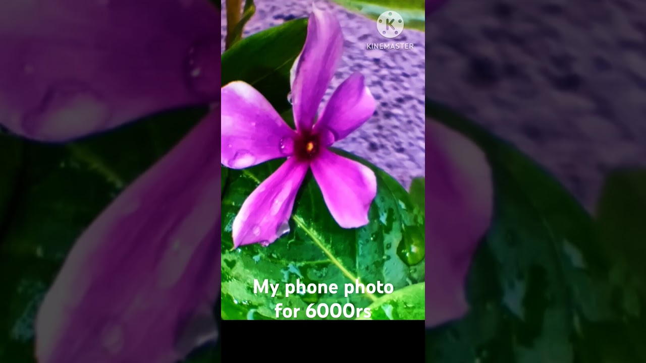 my 6000rs photo's