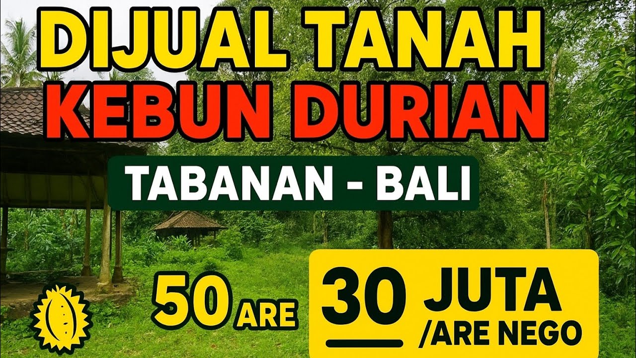 JUAL TANAH KEBUN DURIAN & MANGGIS MURAH DI SELEMADEG TABANAN BALI