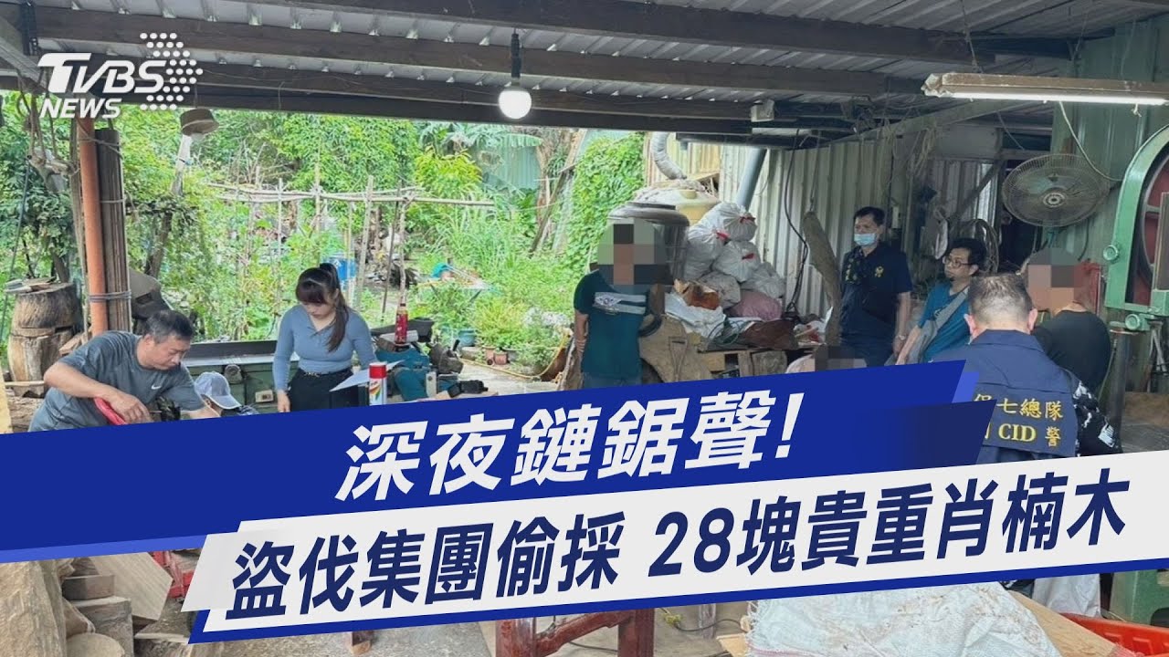 深夜鏈鋸聲! 盜伐集團偷採 28塊貴重肖楠木｜TVBS新聞 @TVBSNEWS01