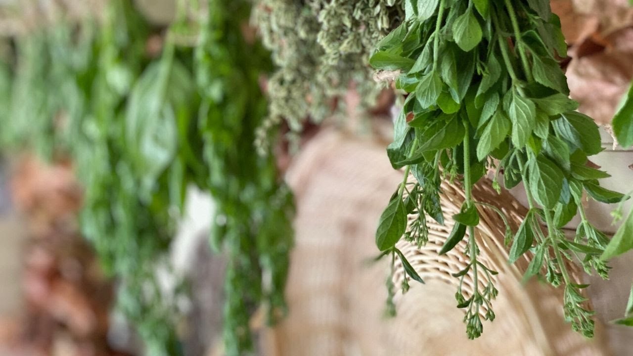 I created a place for drying herbs by hanging them at our home.
