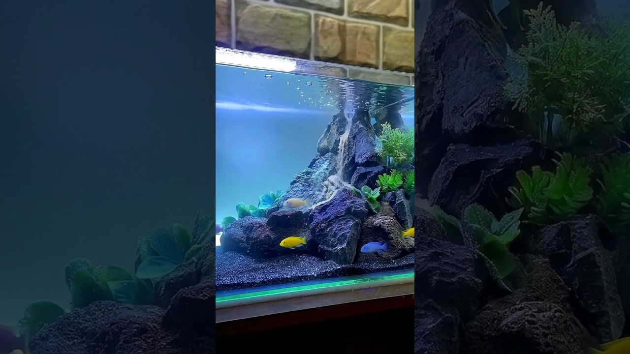 DIY Underwater Sand Waterfall Aquarium Setup!