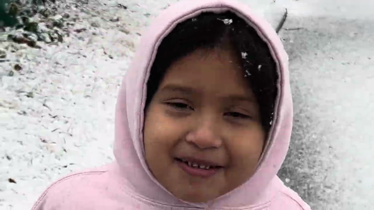 Nieve en new York #elpersonajedelasemana #blanco #publico #parqueo #vecinos #famosa #caida #hola