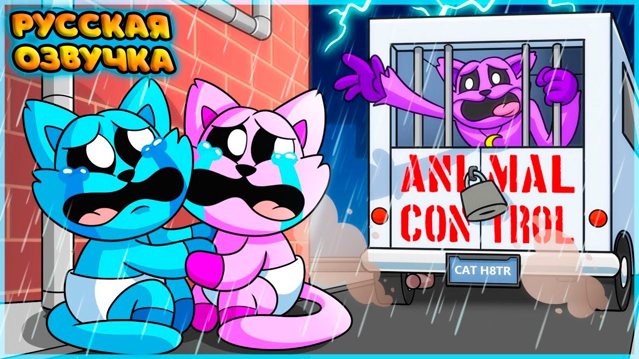 КЭТНАПА СХВАТИЛИ?! - GameToons Анимация | CATNAP is TAKEN?! на русском | fReelaN SHOW