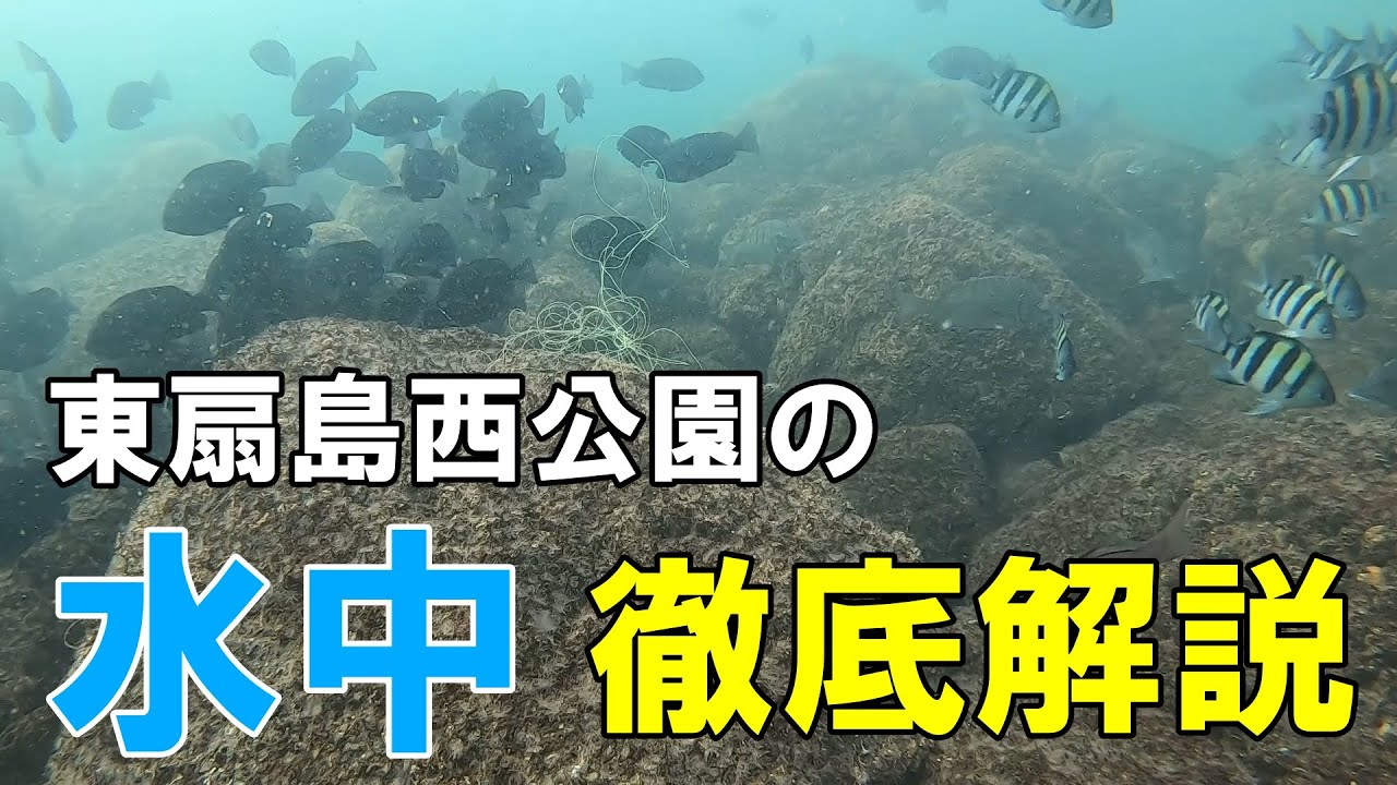 【東扇島西公園】水中を解説！　狙える魚とおすすめポイントは？