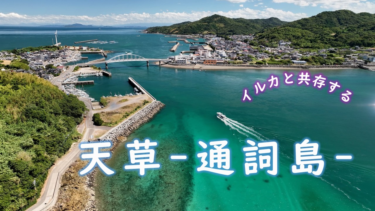 イルカと共存する天草・通詞島【4K DRONE】熊本県天草市2024