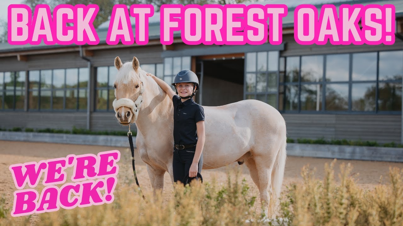 SURPRISE!!!! WE'RE BACK AT FOREST OAKS!