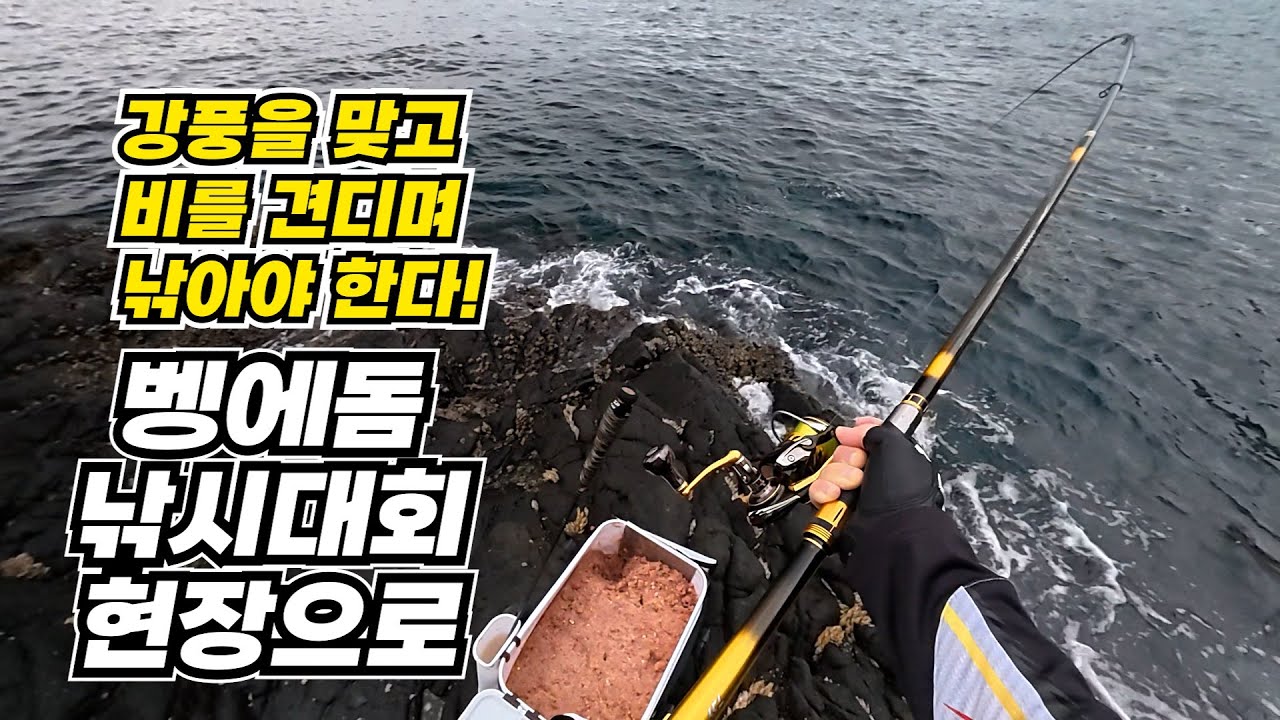 【낚시대회】다이와 벵에돔 낚시대회의 생생한 현장