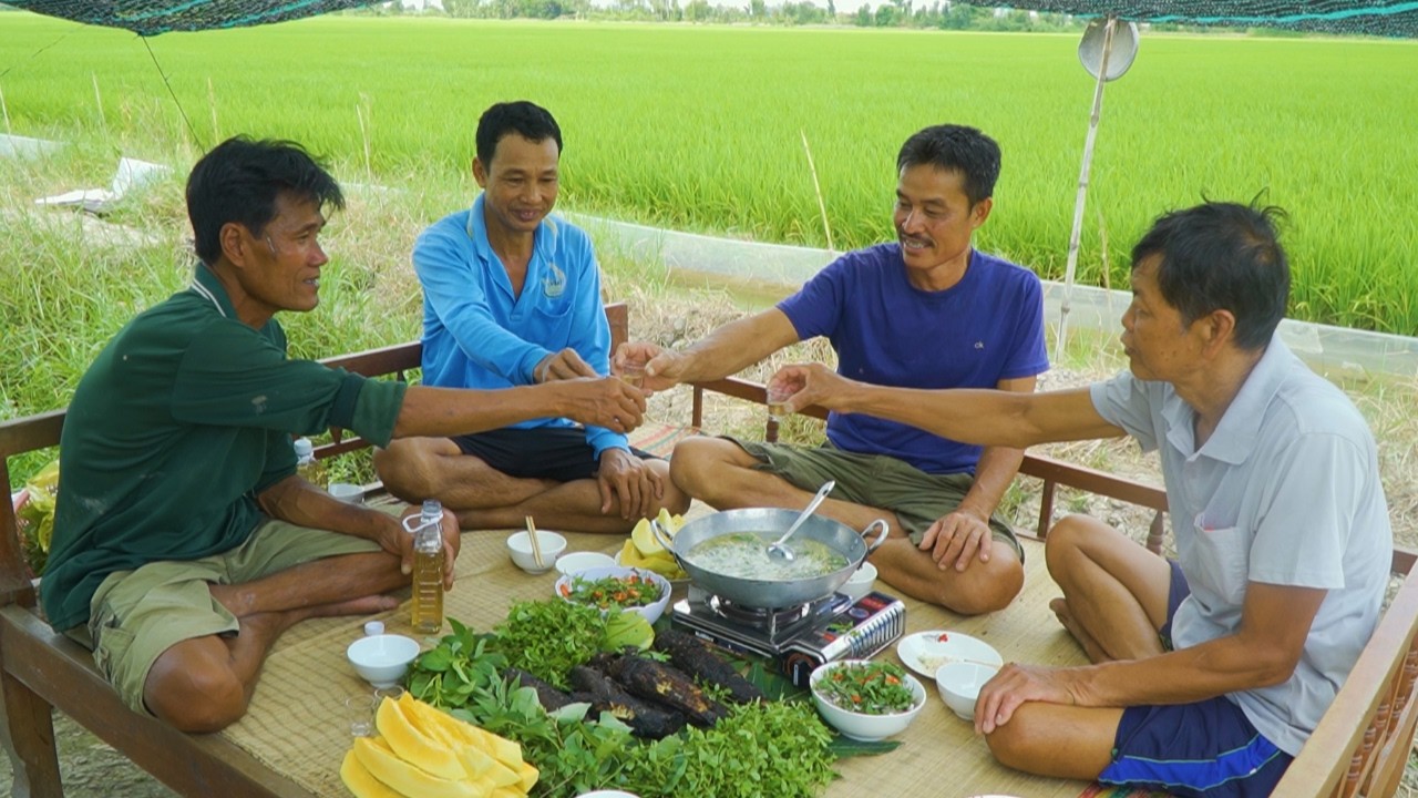 T&igrave;nh Nghĩa Nh&agrave; Qu&ecirc;, 