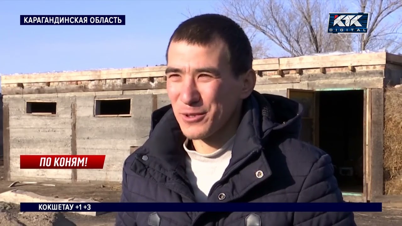 «Плакать не могу, но душа разрывается» – хозяин элитного скакуна, украденного на согым