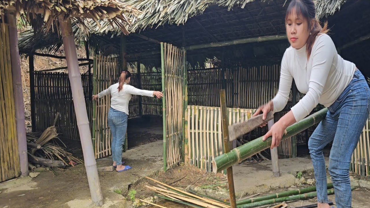 Alone, persistently completing the bamboo chicken coop from scratch 