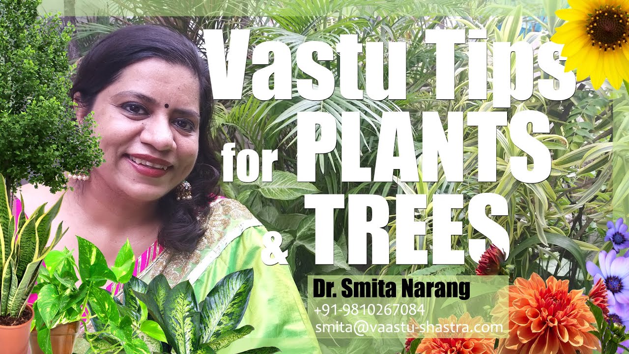 Vastu Tips for Plants & Trees | Plants Placements & Directions | Dr. Smita Narang