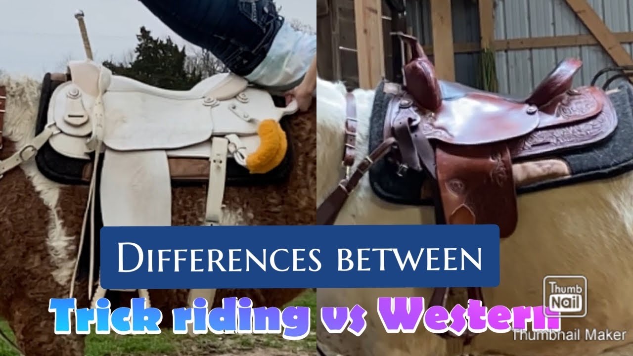 Differences between trick riding & western saddle//How to start trick riding!!