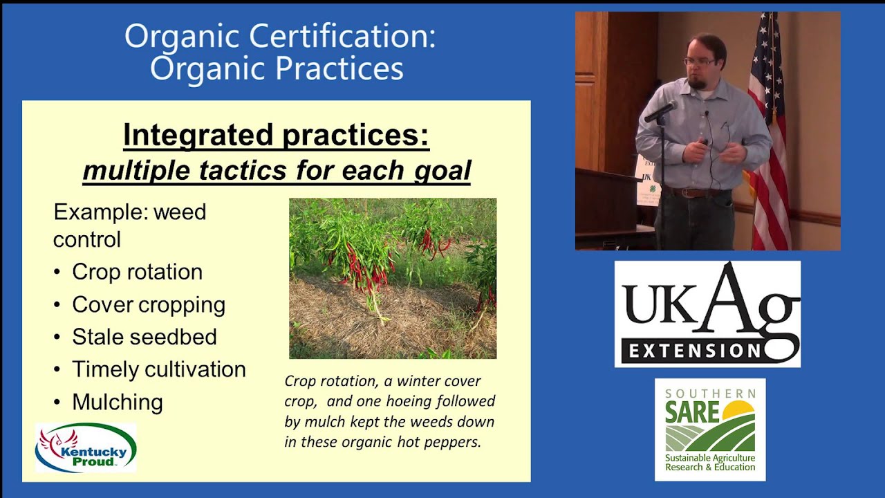 Blueberry Production in Kentucky Part 3-2: Organic Practices