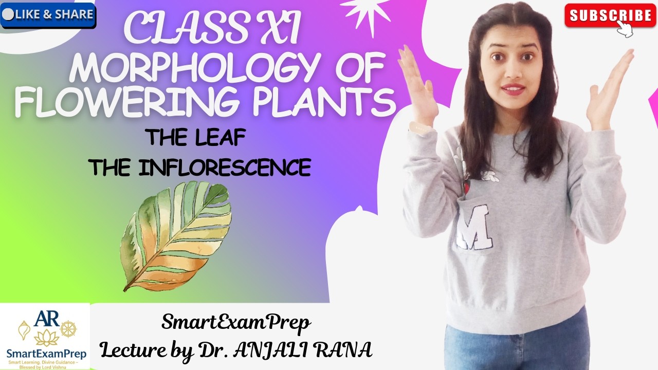 Morphology of Flowering Plants Part 2 | NCERT Line-to-Line Explanation |Class XI Biology | NEET 2026