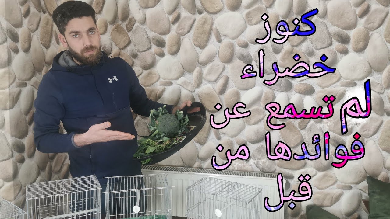 كنوز خضراء موجودة في كل منزل لا تحرم طيورك منها
