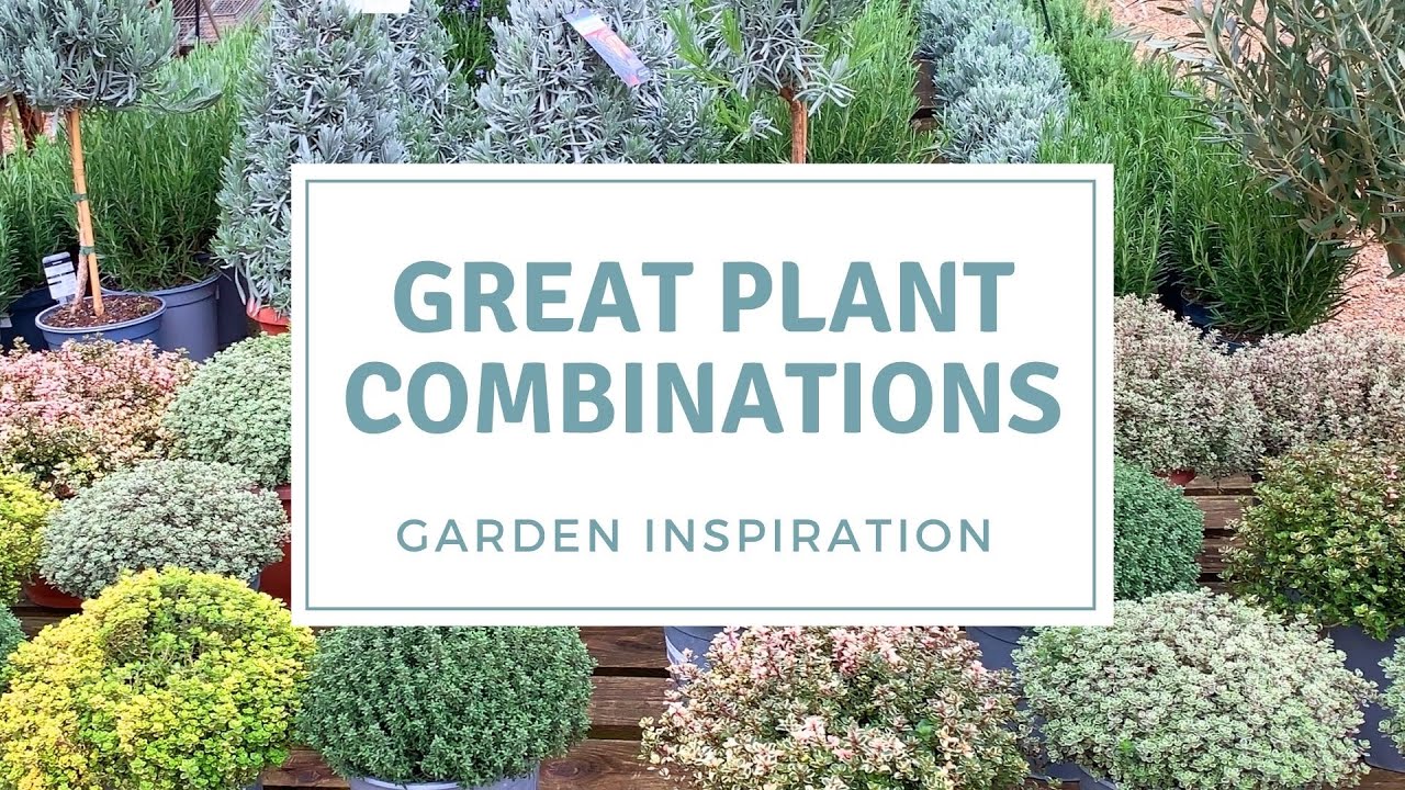 Inspirational Plant Combinations / Spring Tour