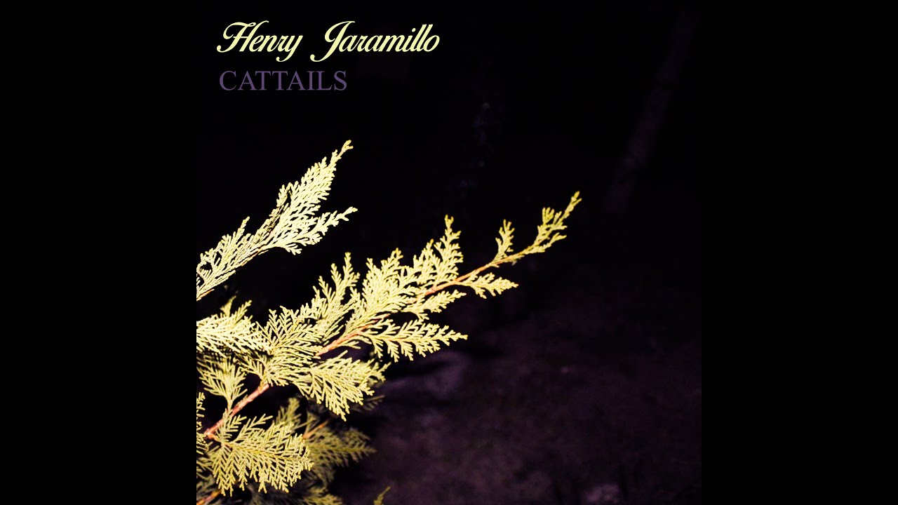 Henry Jaramillo - Mud Flats (Official Lyric Video)
