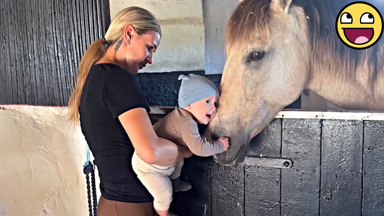 Baby And Horse Share The Most Adorable First Encounter 🐴👶💕