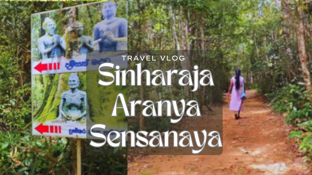 හිත නිවන නිහඬ චාරිකාව 🌿 | සිංහරාජ ආරණ්‍ය සේනාසනය | Suriyakanda Vlog (Part 1)