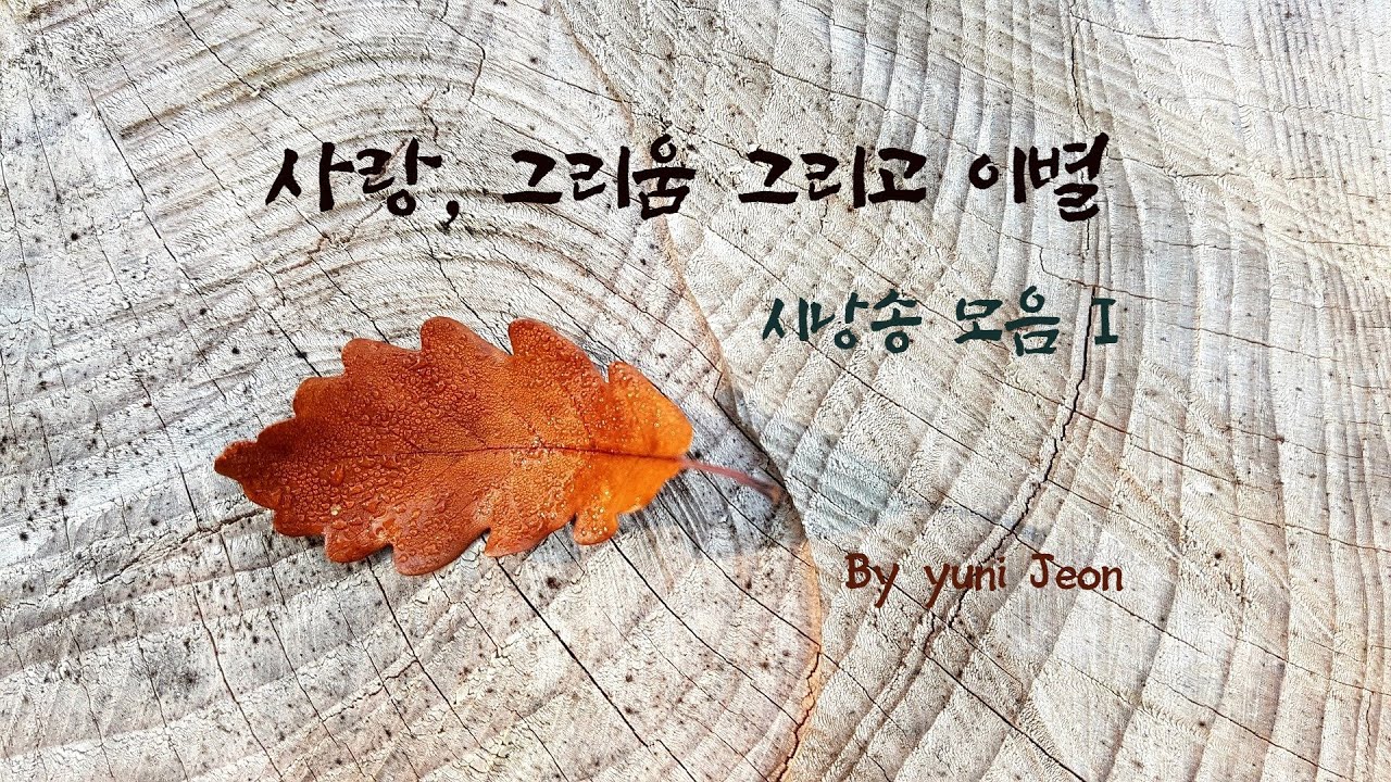 [시낭송 모음 I]사랑,그리움 그리고 이별