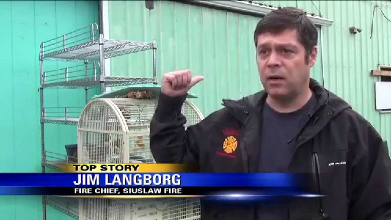 Pet Store Fire