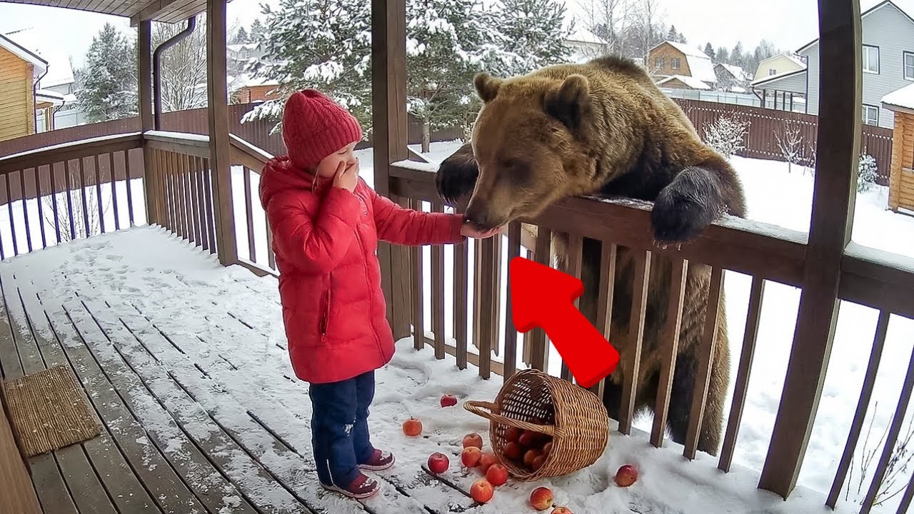 When Poor Animals Reunited With Owners After Years Of Waiting