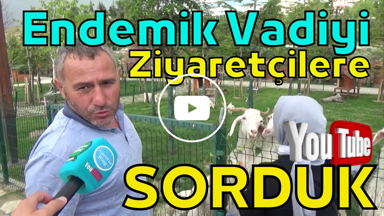 🟢Ziyaret&ccedil;ilere Endemik Vadiyi Sorduk 2️⃣ 🔔Endemik Vadi Yorumlar ✅Ankara'da Gezilecek Yerler