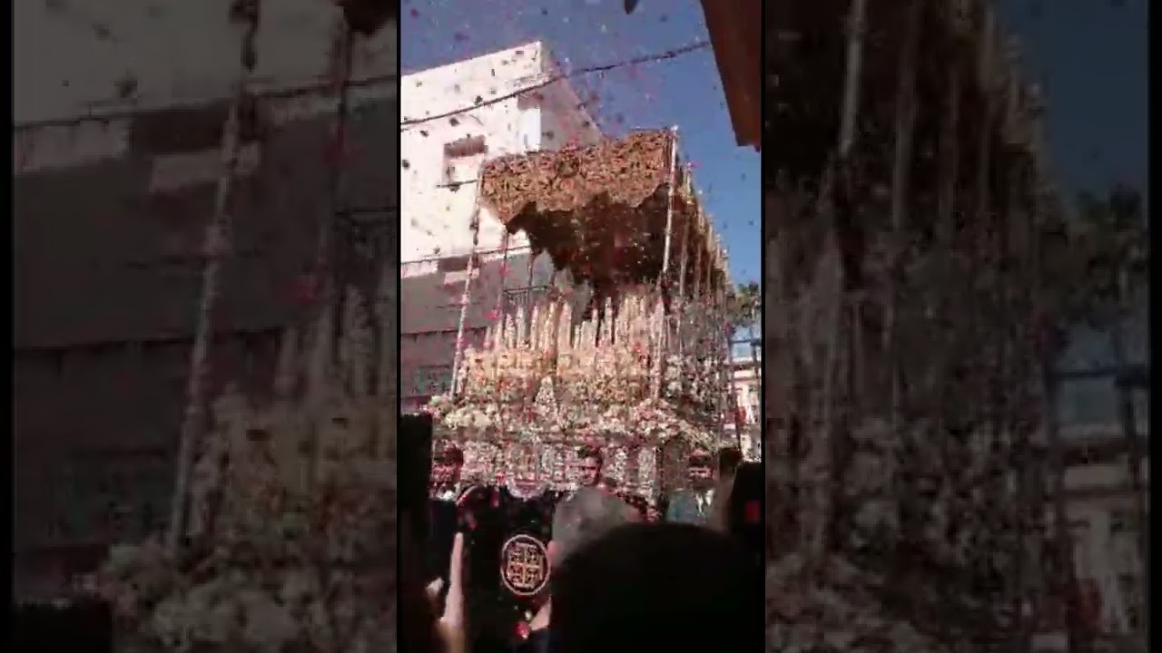 Petalada de María Santísima de las Angustias de las cabezas de San Juan   💜