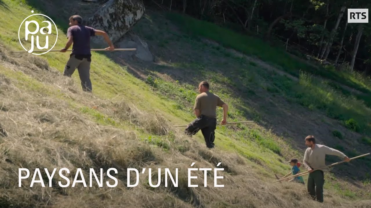 Chaque année des bénévoles viennent aider les paysans de montagne