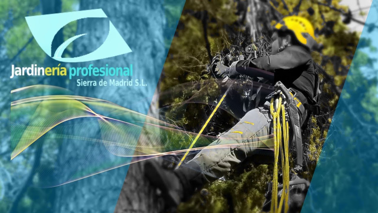 Poda de árboles - ascenso con cuerda en simple (SRT)