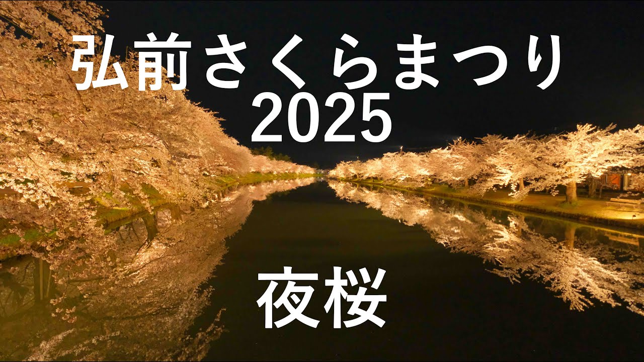 【弘前さくらまつり】弘前公園(弘前城) 世界一の桜 夜編【青森県弘前市】8K 2025