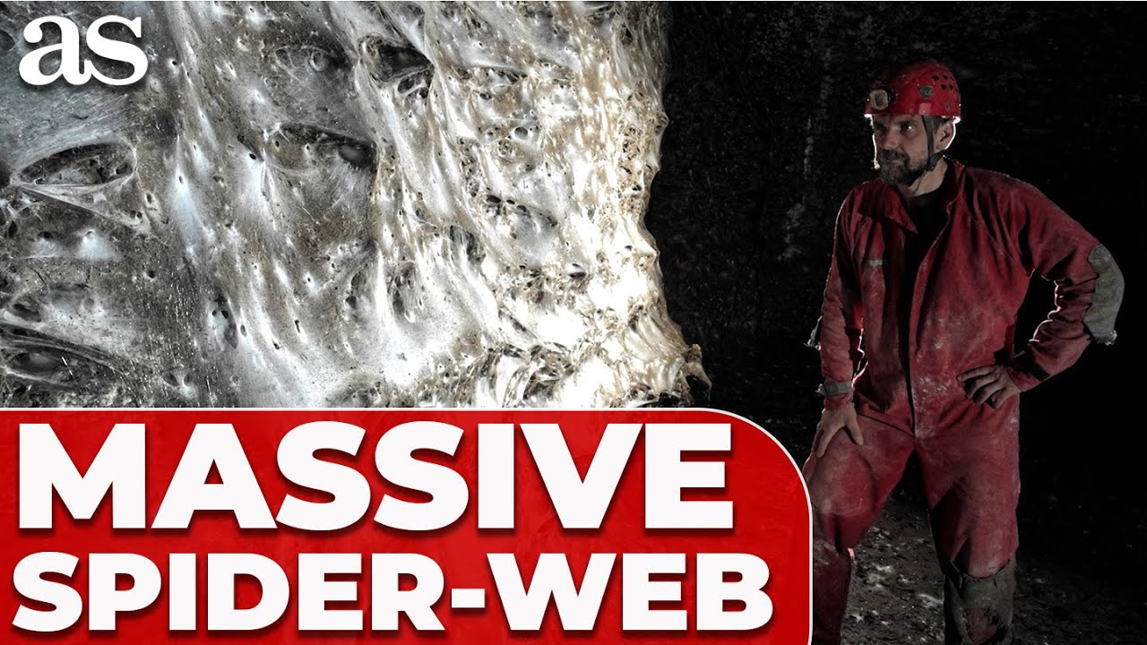 Giant SPIDER-WEB discovered! Over 100,000 spiders found inside hidden cave 😱