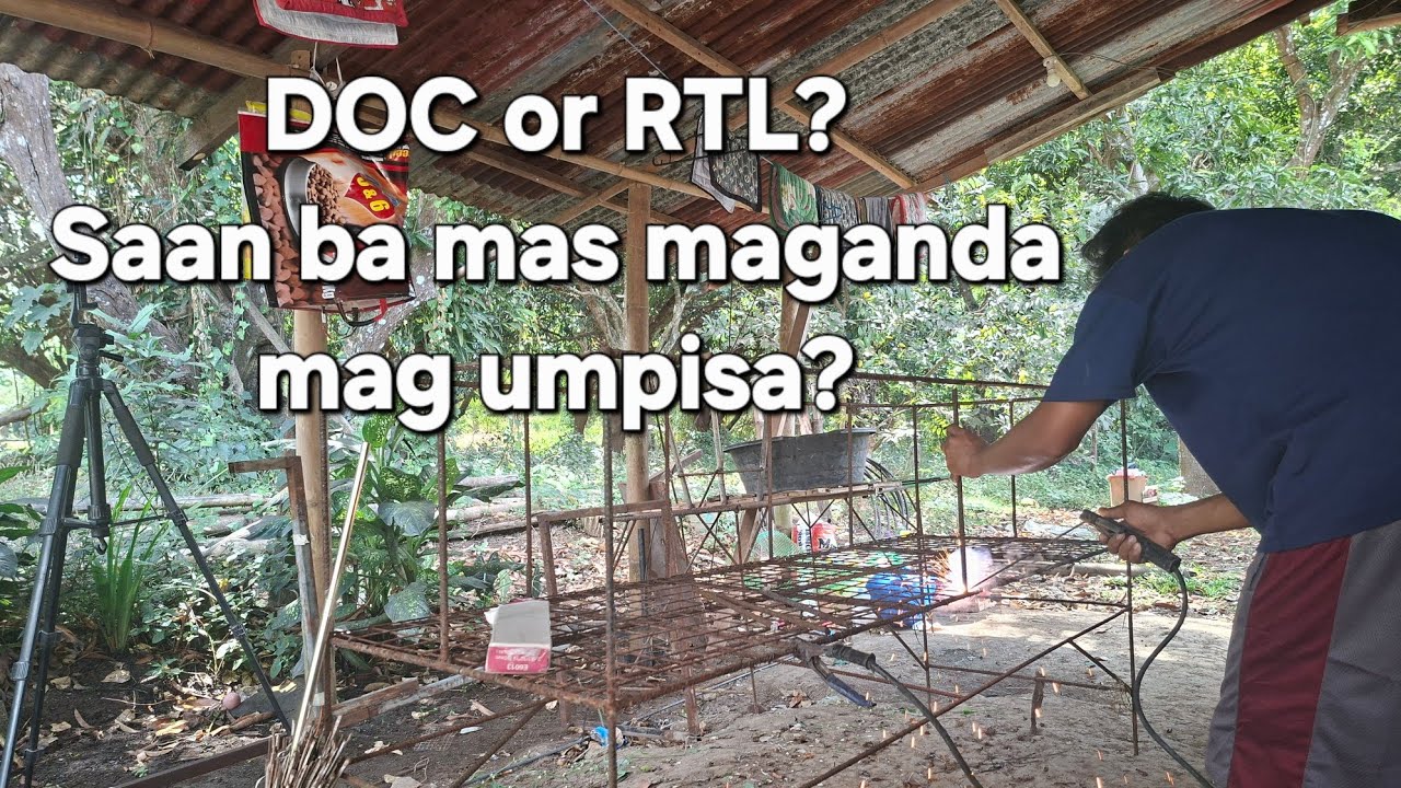 Quail Farming | DOC or RTL? Alin ba ang mas maganda sa pag uumpisa?