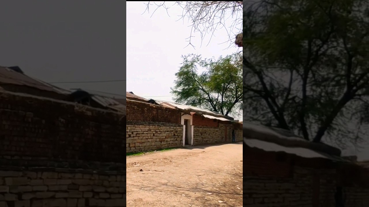 बोड़सरा बाड़े का रहस्य क्या यह सच में गुरू बालकदास का बाड़ा है #bodsarabada #shorts #cg