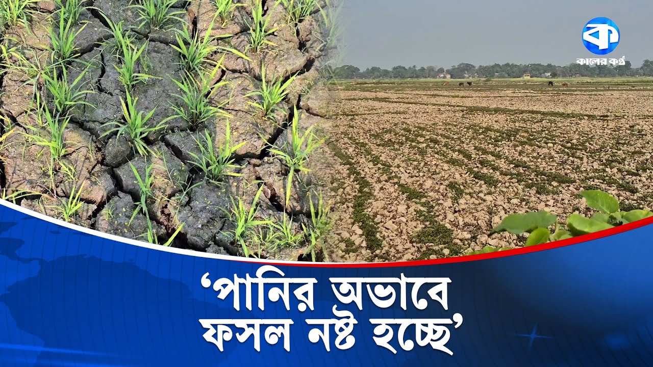 ‘পানি পায়তাছি না জমিনগুলো পতিত রইছে' | Agriculture Crisis 2026 | Kaler Kantho
