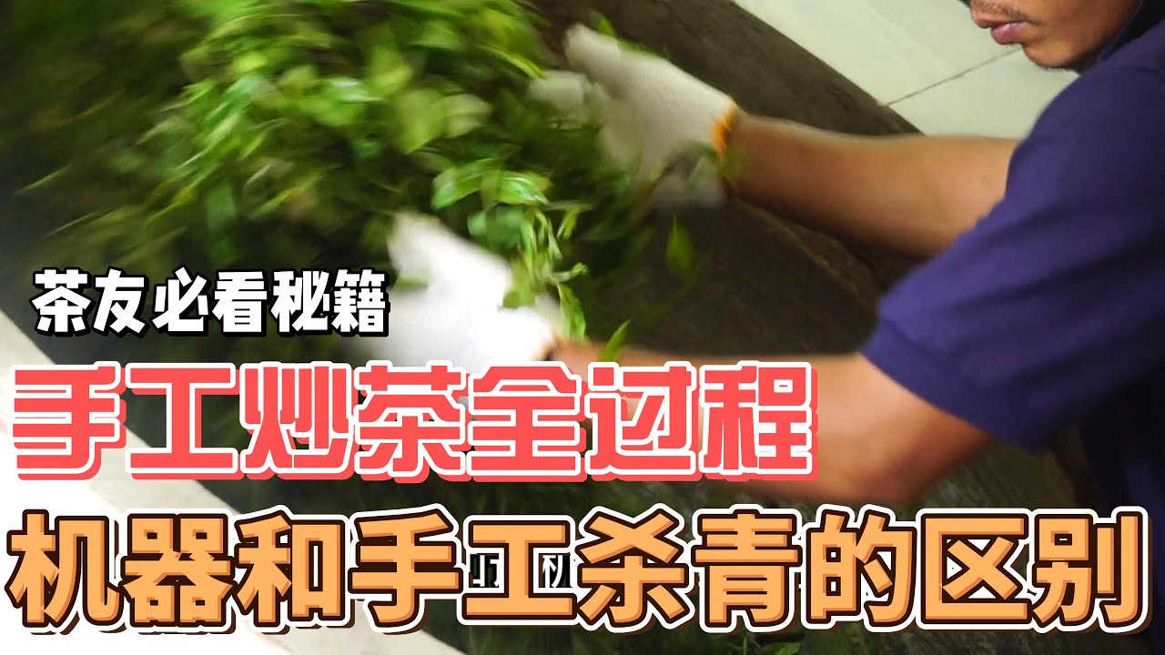 手工炒茶全过程，制茶师傅解说机器和手工杀青的区别#古树茶 #普洱茶 #手工炒茶 #杀青