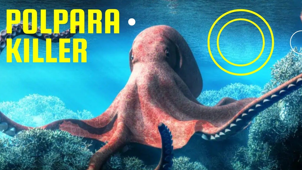 POLPARA KILLER #fishing #fishing_video #pesca
