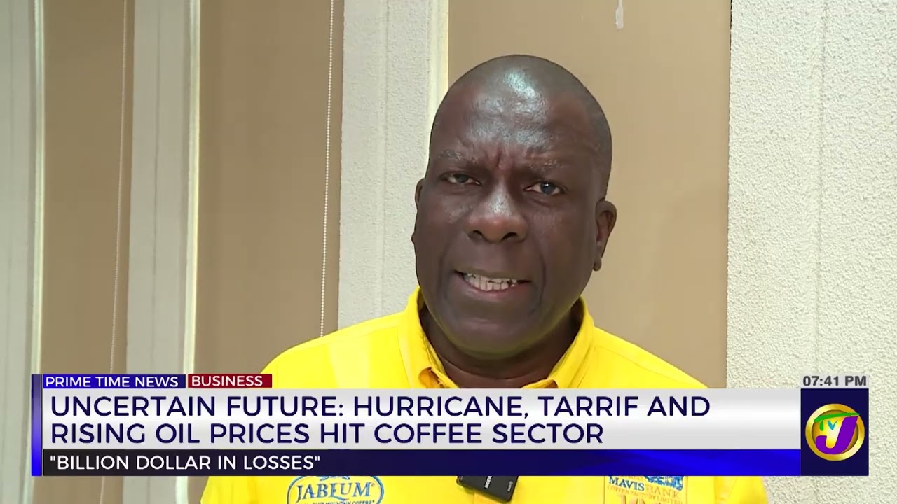 Uncertain Future: Hurricane, Tarrif And Rising Oil Prices Hit Coffee Sector | The Business Day