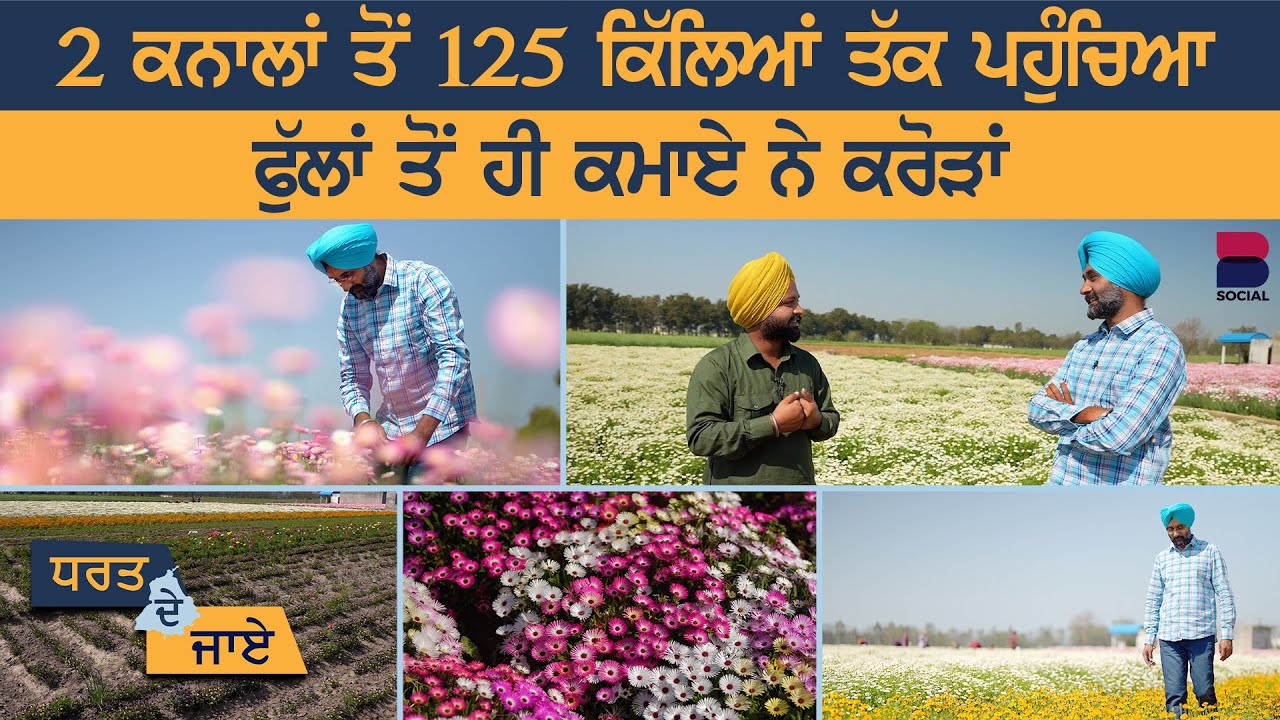 Dharat De Jaaye | EP 42 l Gurwinder Singh Sohi l Sarbjeet Singh Sidhu l B Social