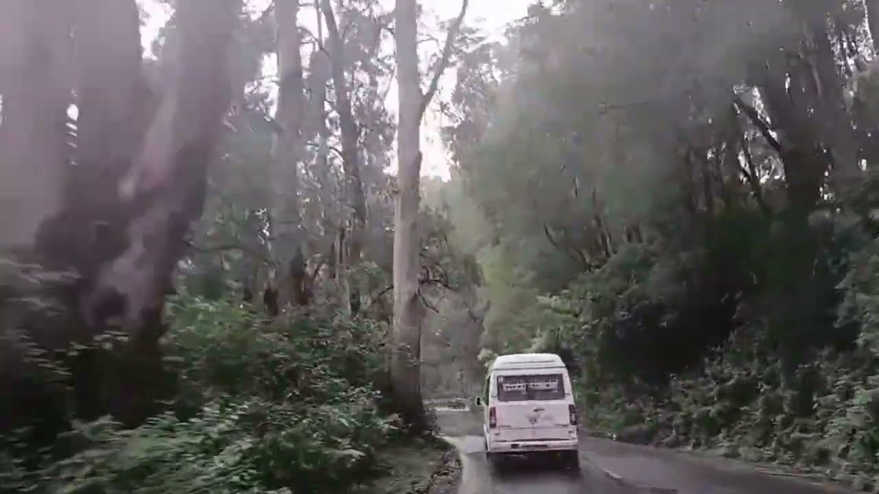 Rainy nilgiri MOUNTAIN INDORE TRAVEL #mountain #hills #ooty #history