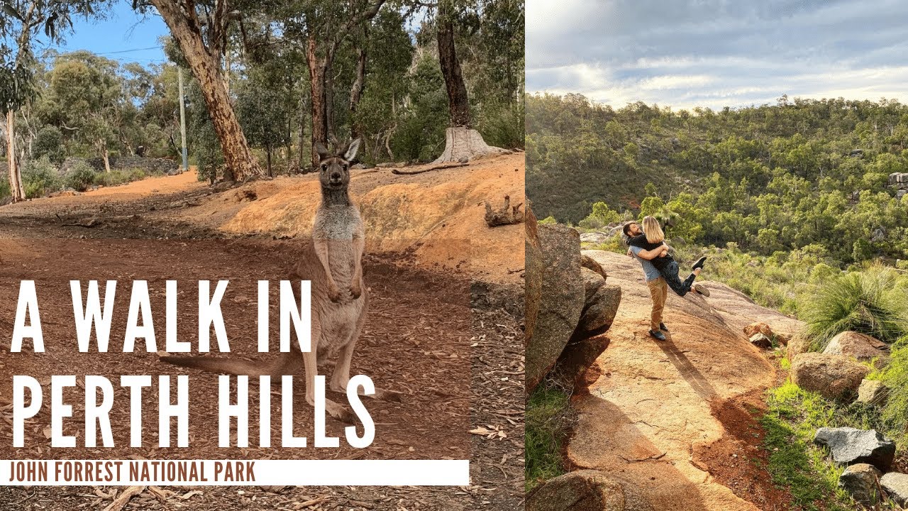 A WALK IN PERTH HILLS | John Forrest National Park | PERTH LIFE