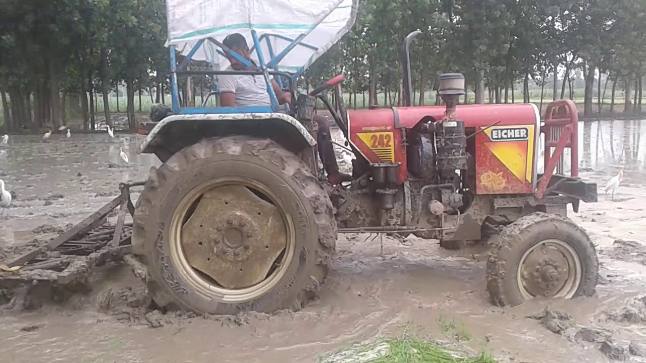 Eicher 242 agri star модель 2013